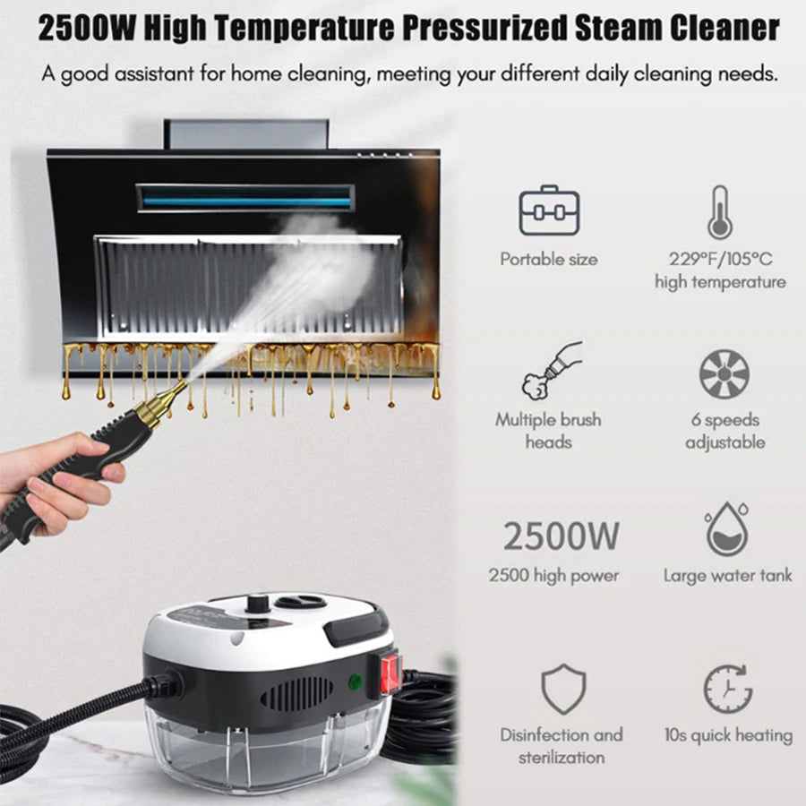 High-Pressure Steam Cleaner